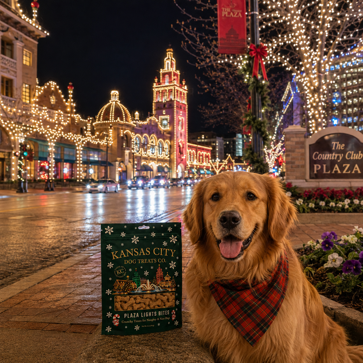 Plaza Lights Bites Dog Treats